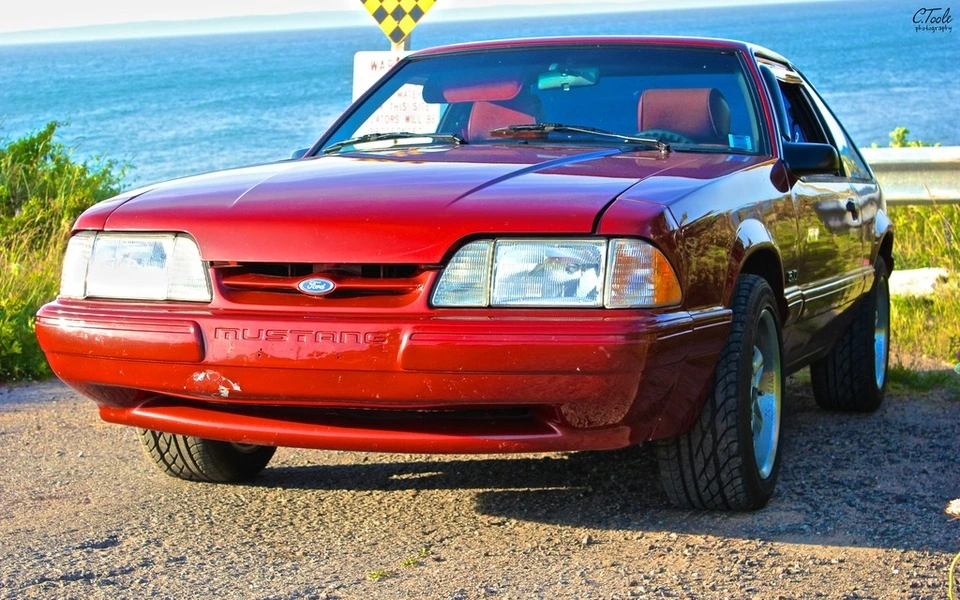 Mustang-500px.webp