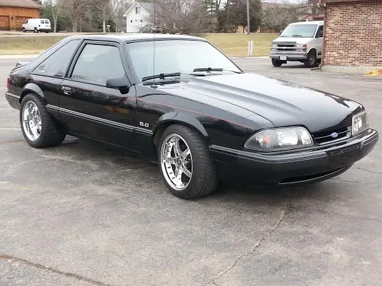 mustang 6.webp