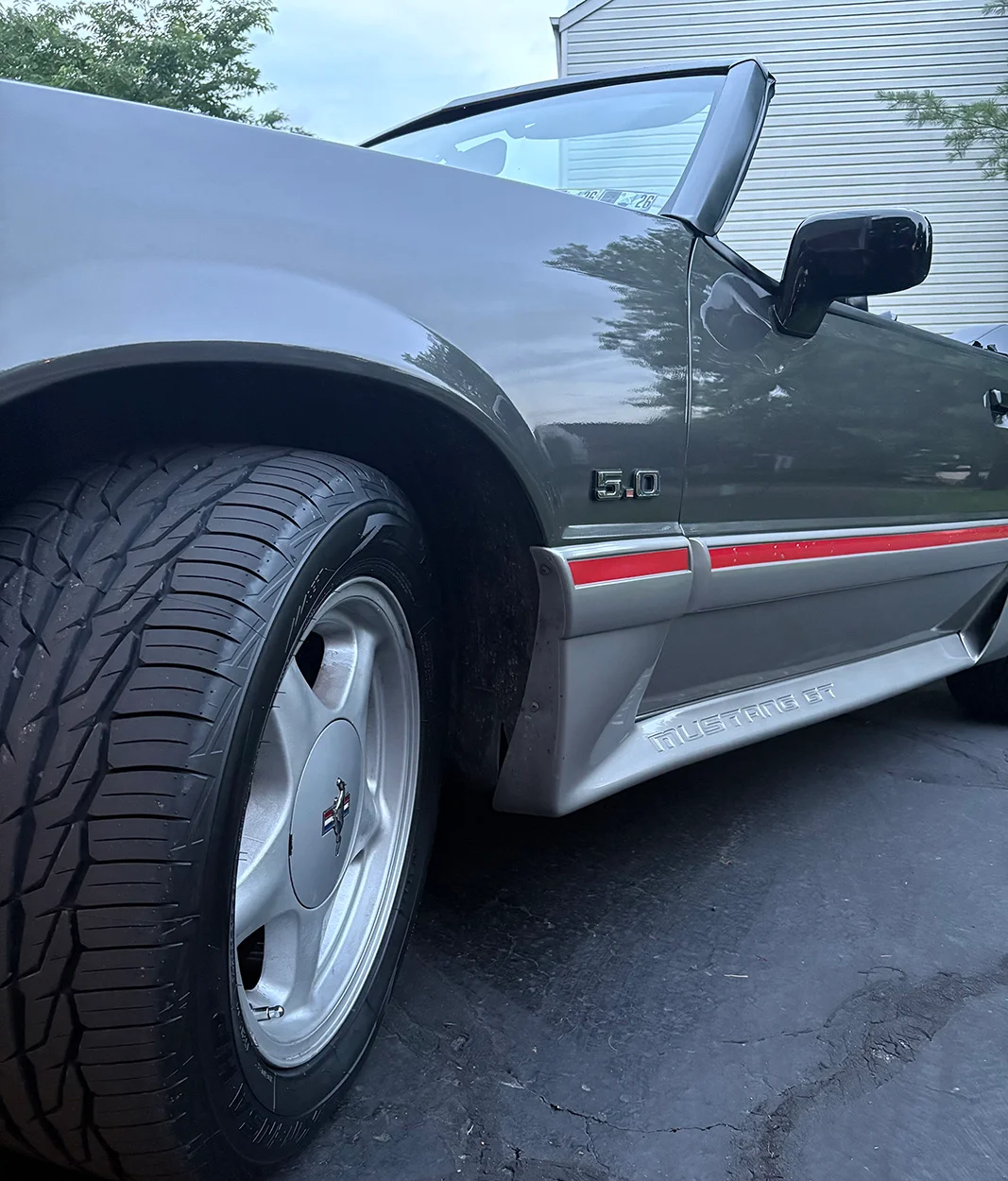 Mustang (6).webp