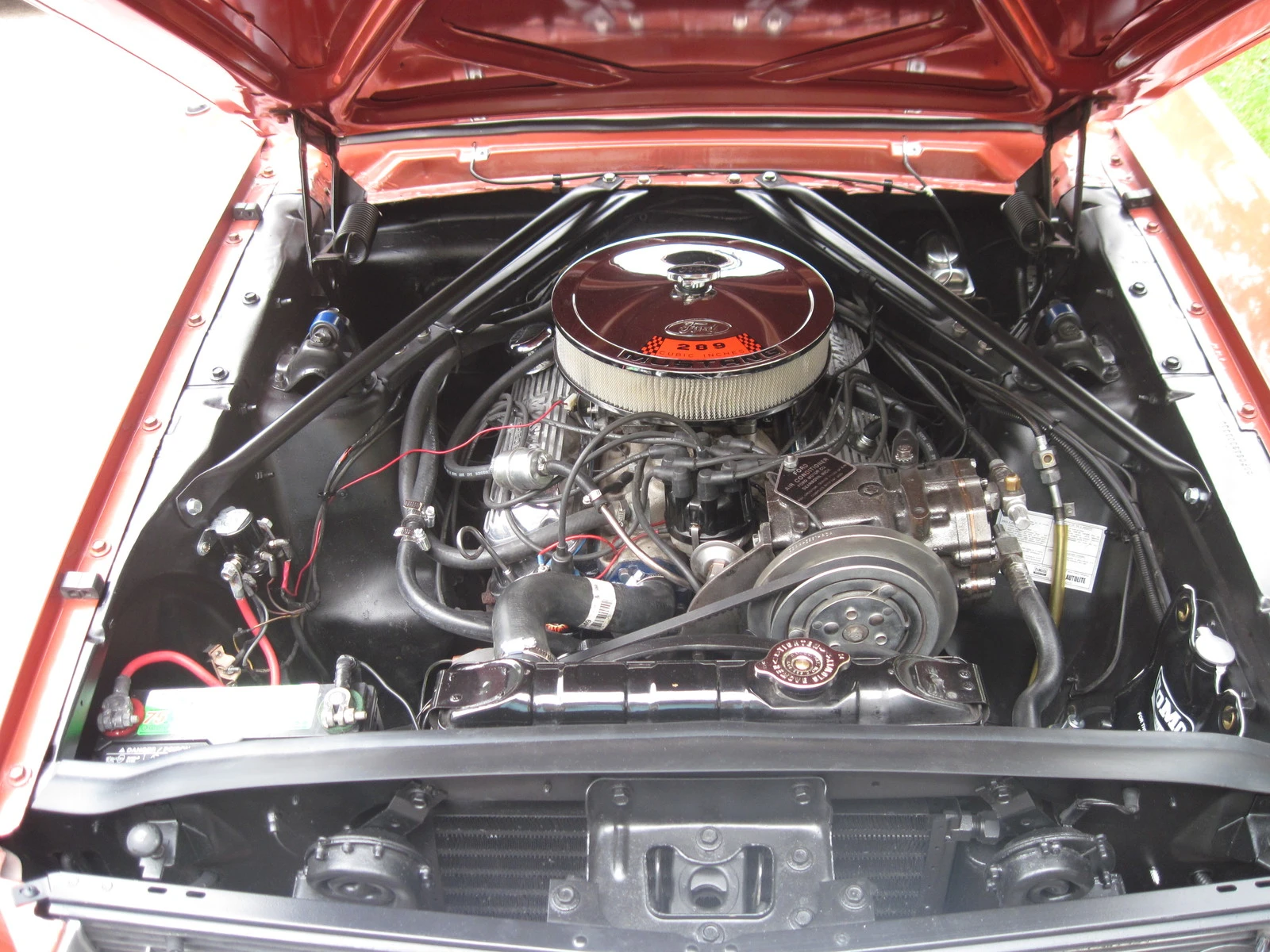 Mustang 66 Eng1.webp