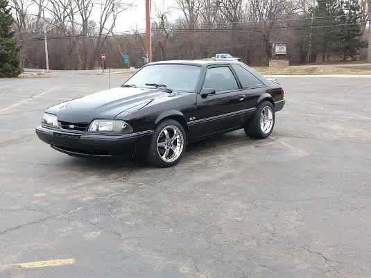 mustang 7.webp