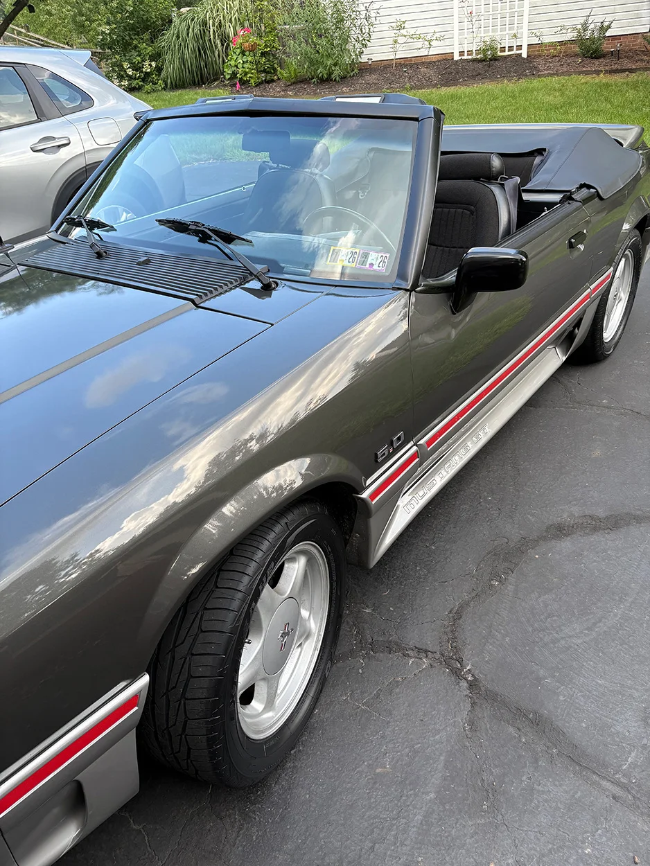 Mustang (7).webp