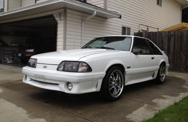 Mustang a.webp
