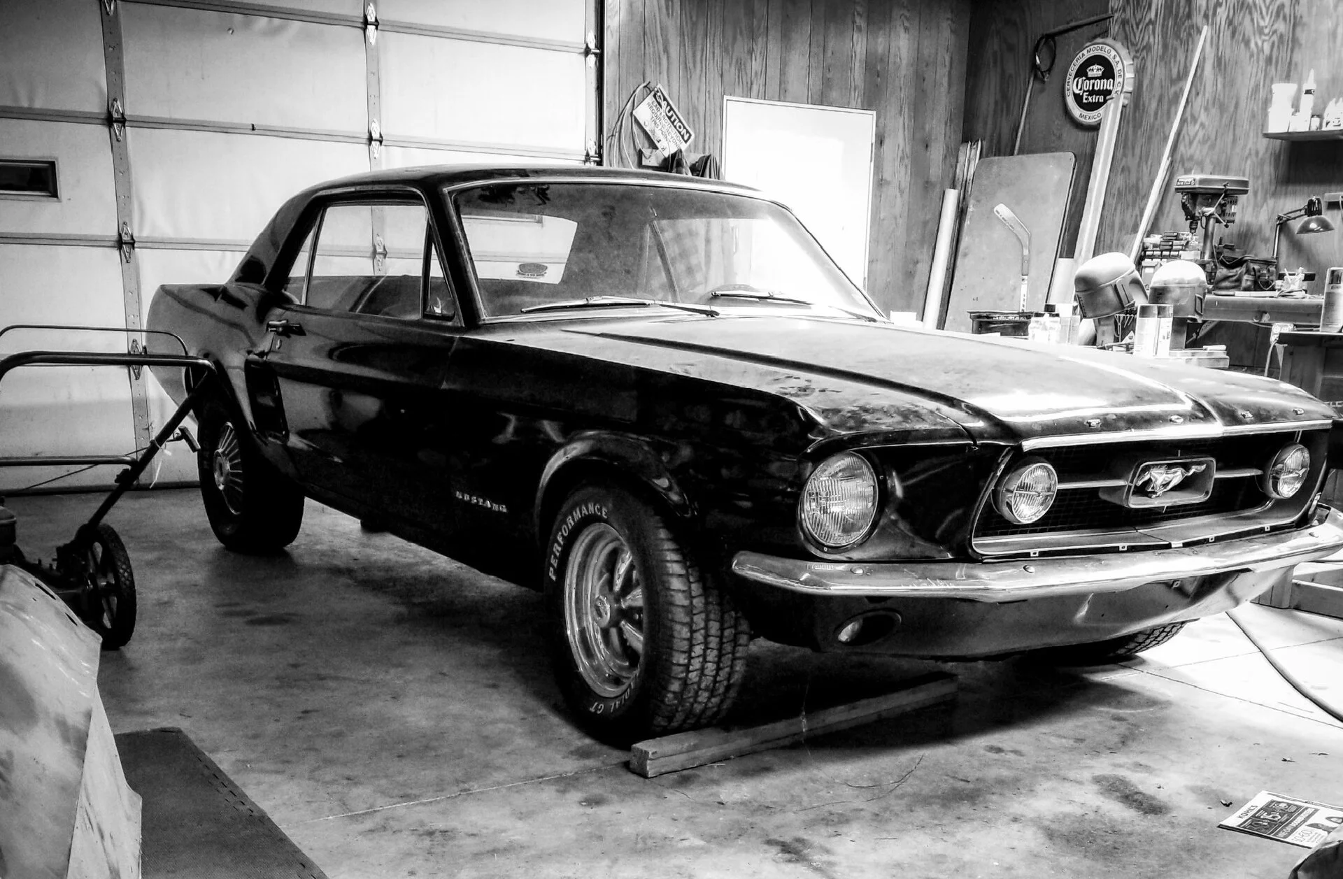 Mustang B&W.webp