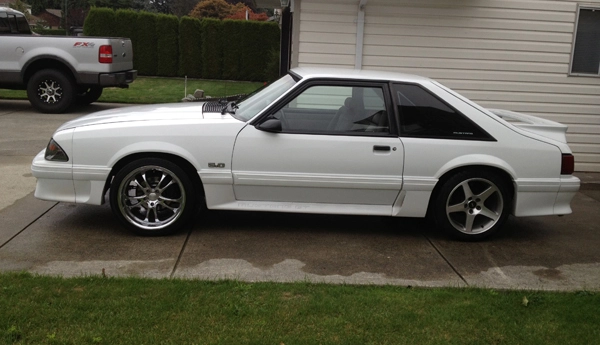 Mustang b.webp
