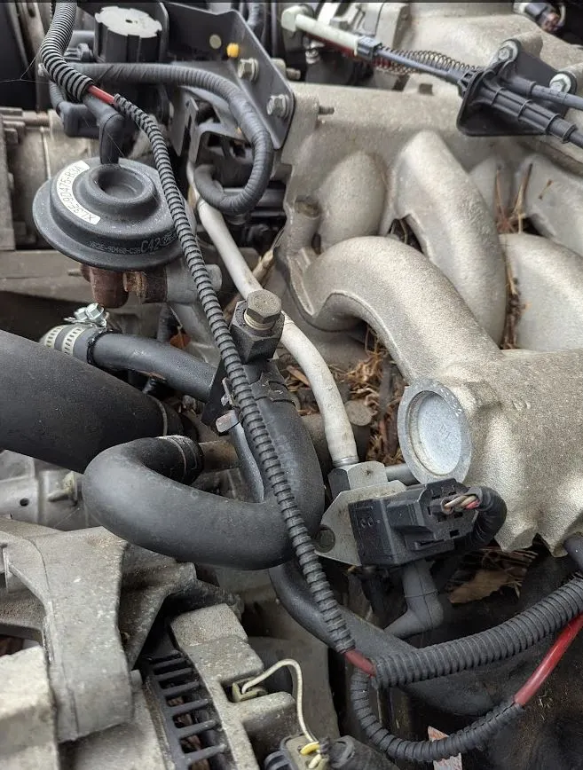 Mustang Broken Line Connector_2.webp
