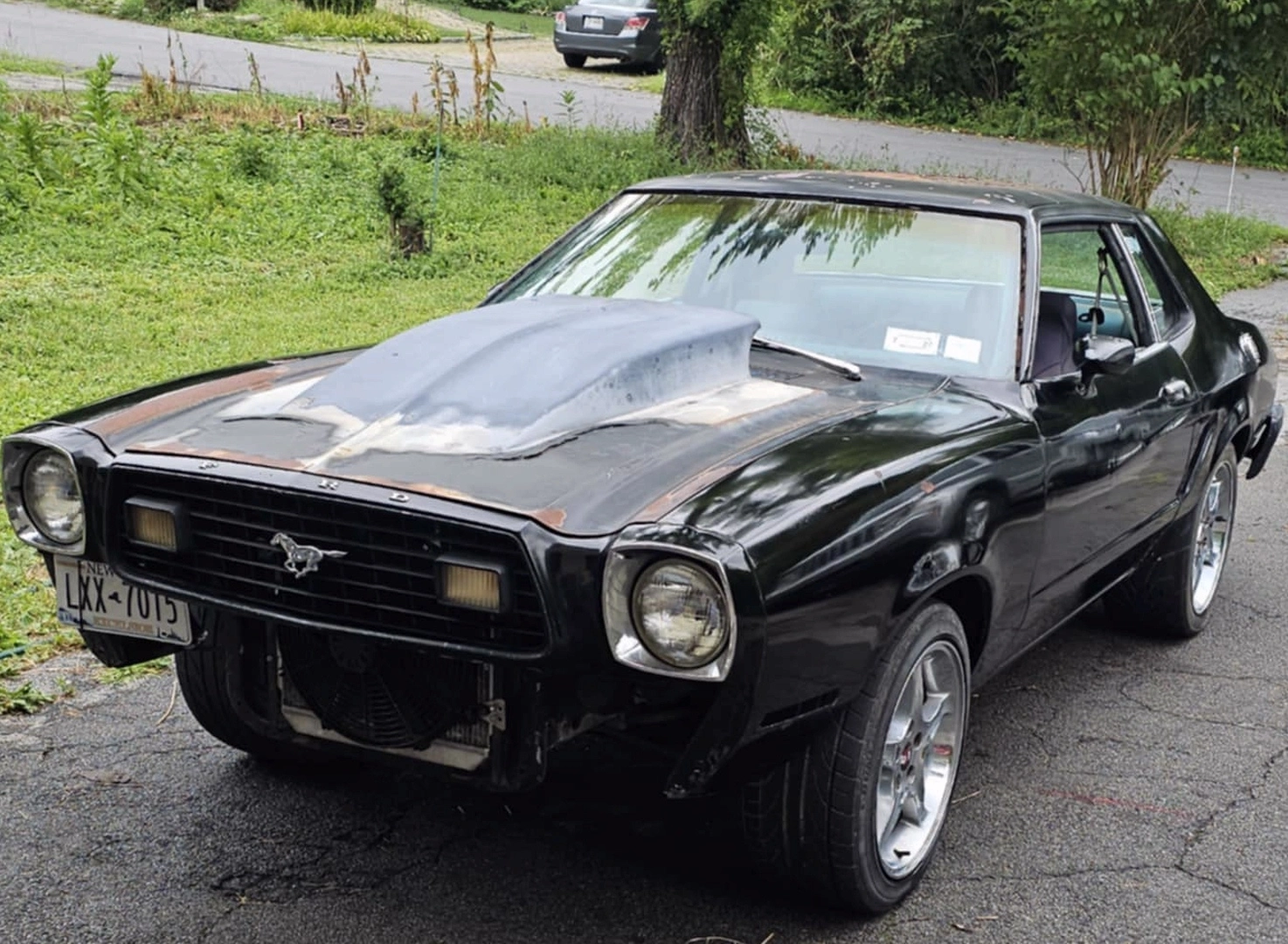 Mustang Buffed out 2025.webp