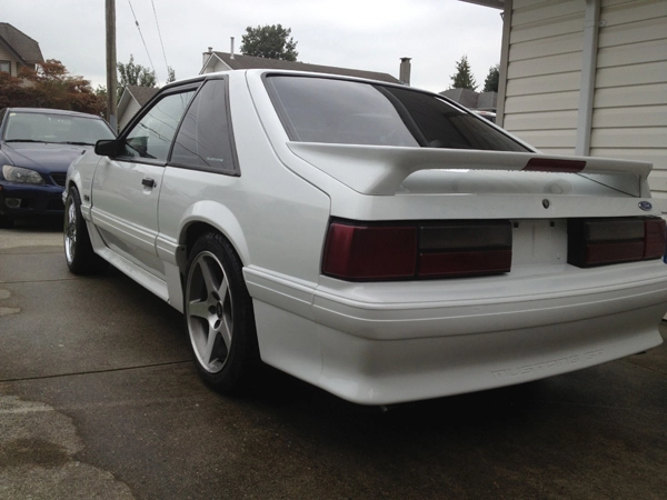 Mustang c.webp