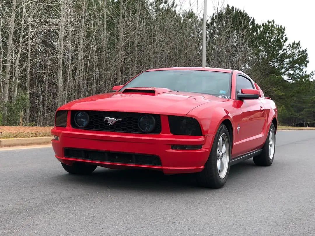 Mustang - chase.webp