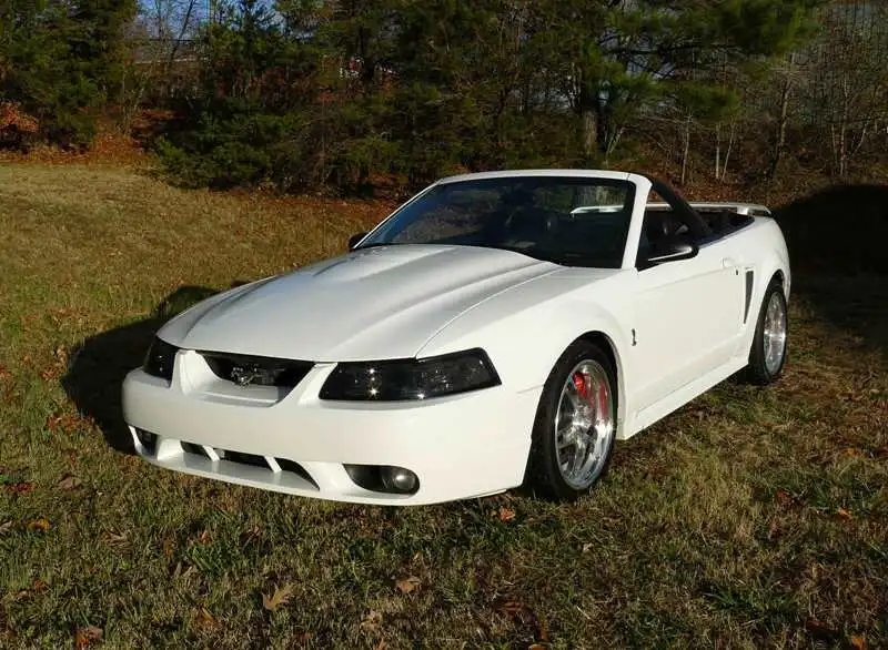 Mustang Cobra 1.webp