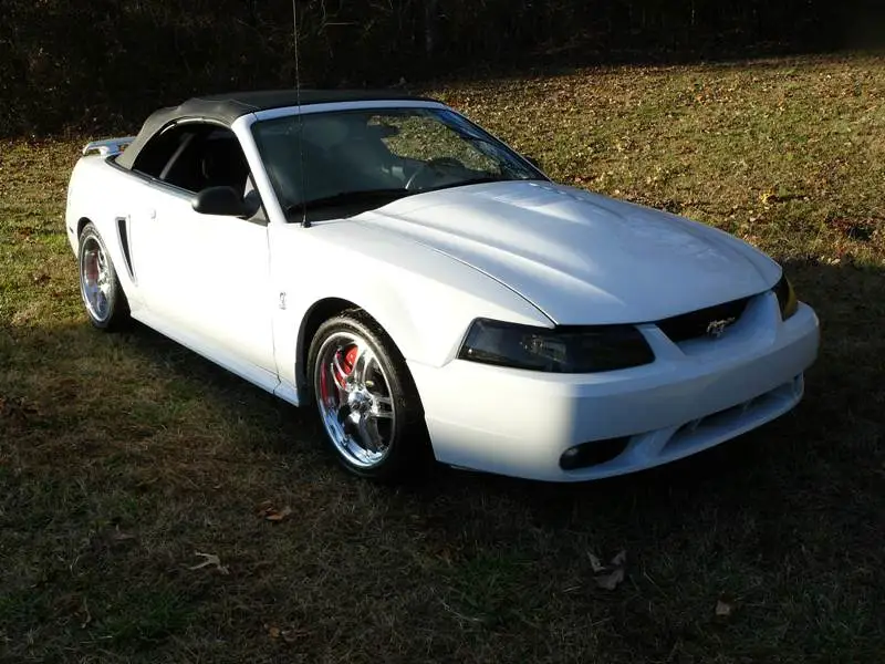 Mustang Cobra 10.webp