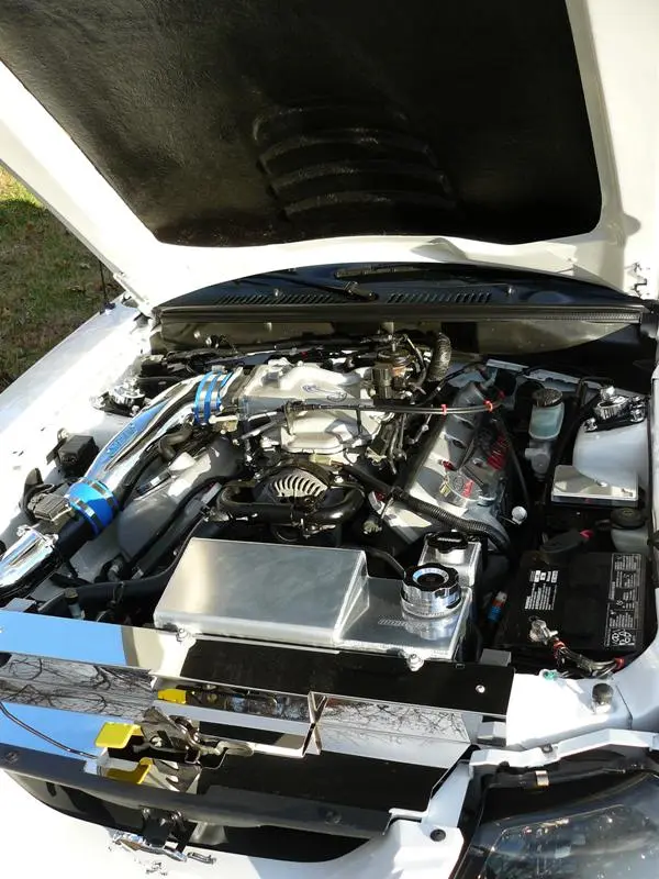 Mustang Cobra 20.webp