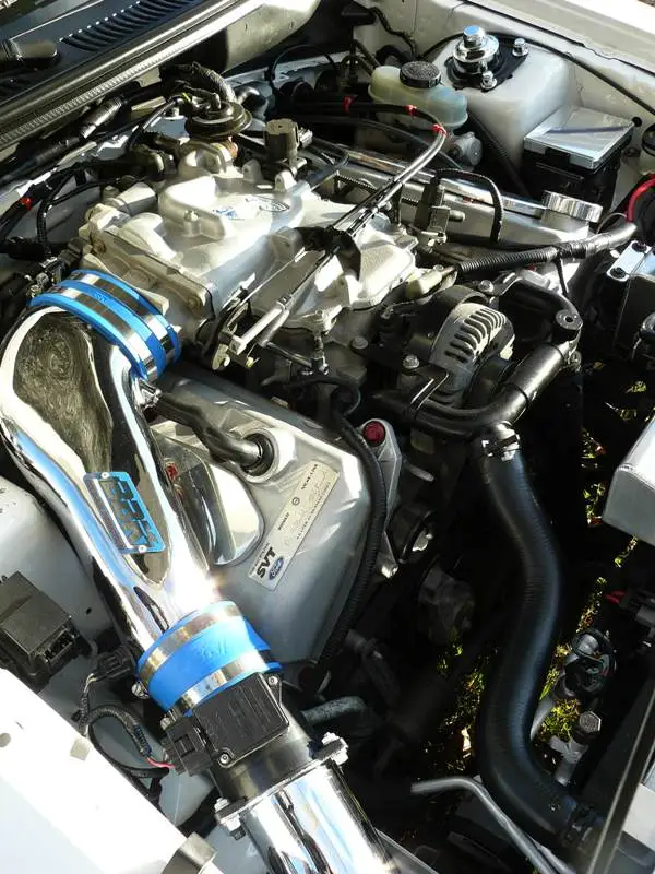 Mustang Cobra 21.webp