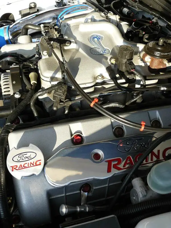 Mustang Cobra 22.webp