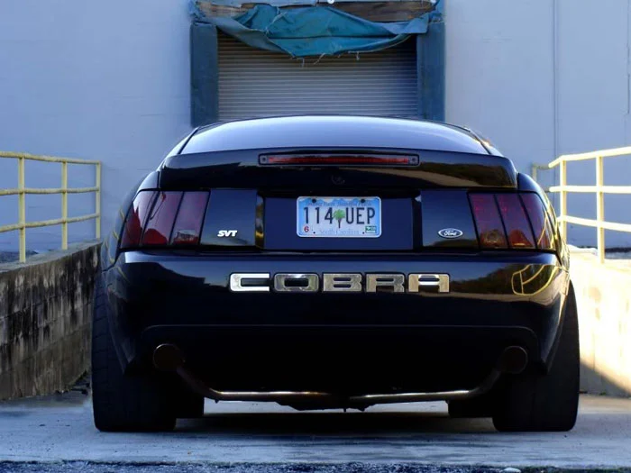 mustang-cobra-terminator-rear.webp