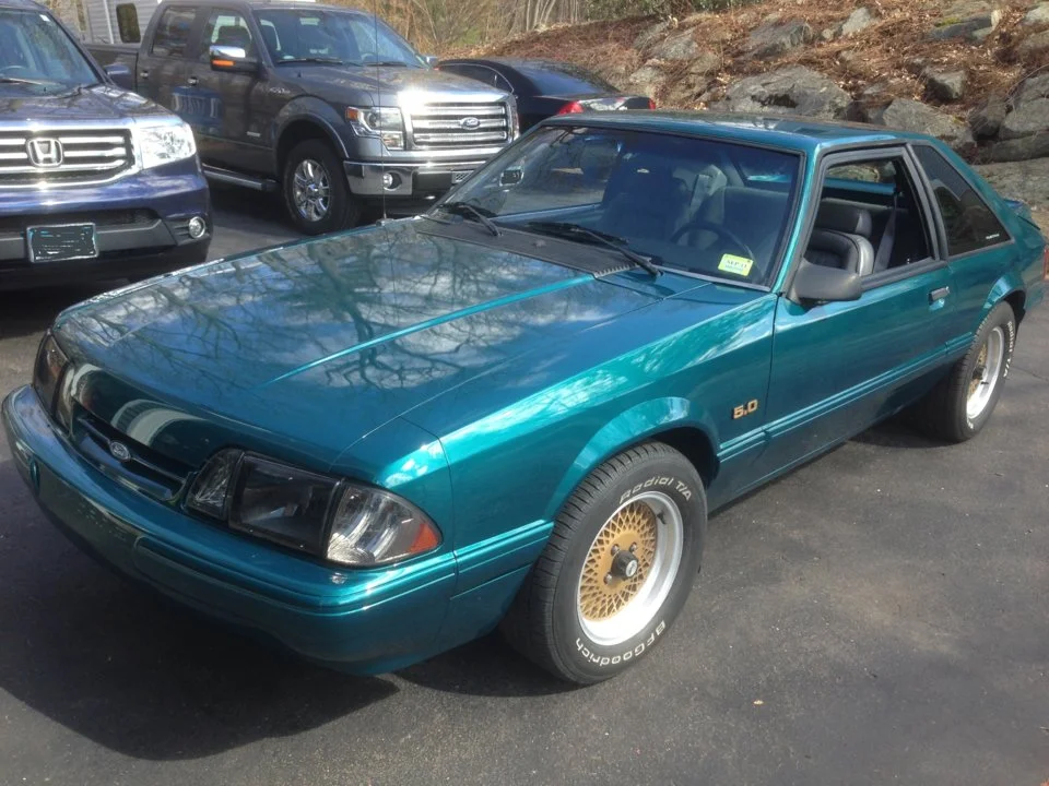 Mustang d-side view.webp