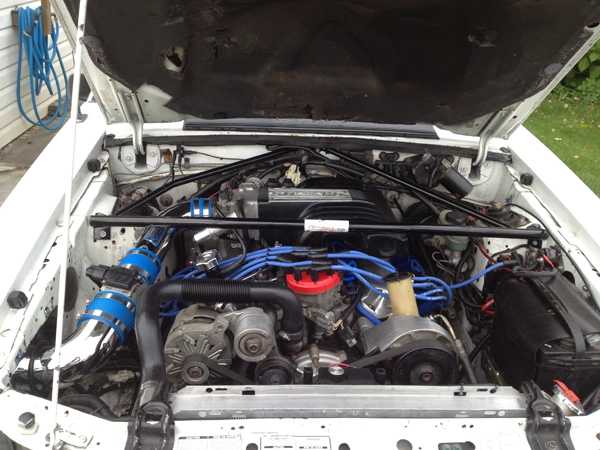 Mustang d.webp