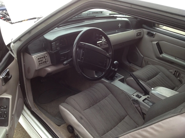 Mustang e.webp