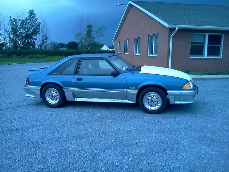 mustang edit.webp