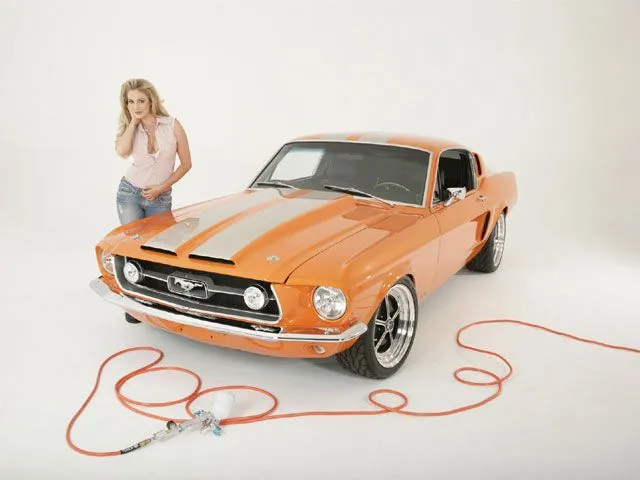 mustang hood.webp