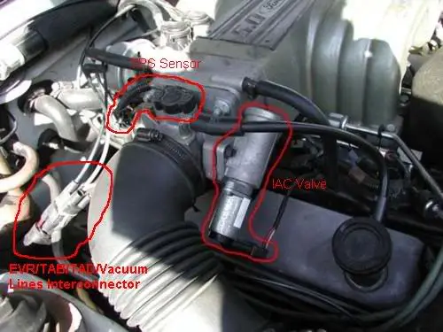 mustang-IAB.webp
