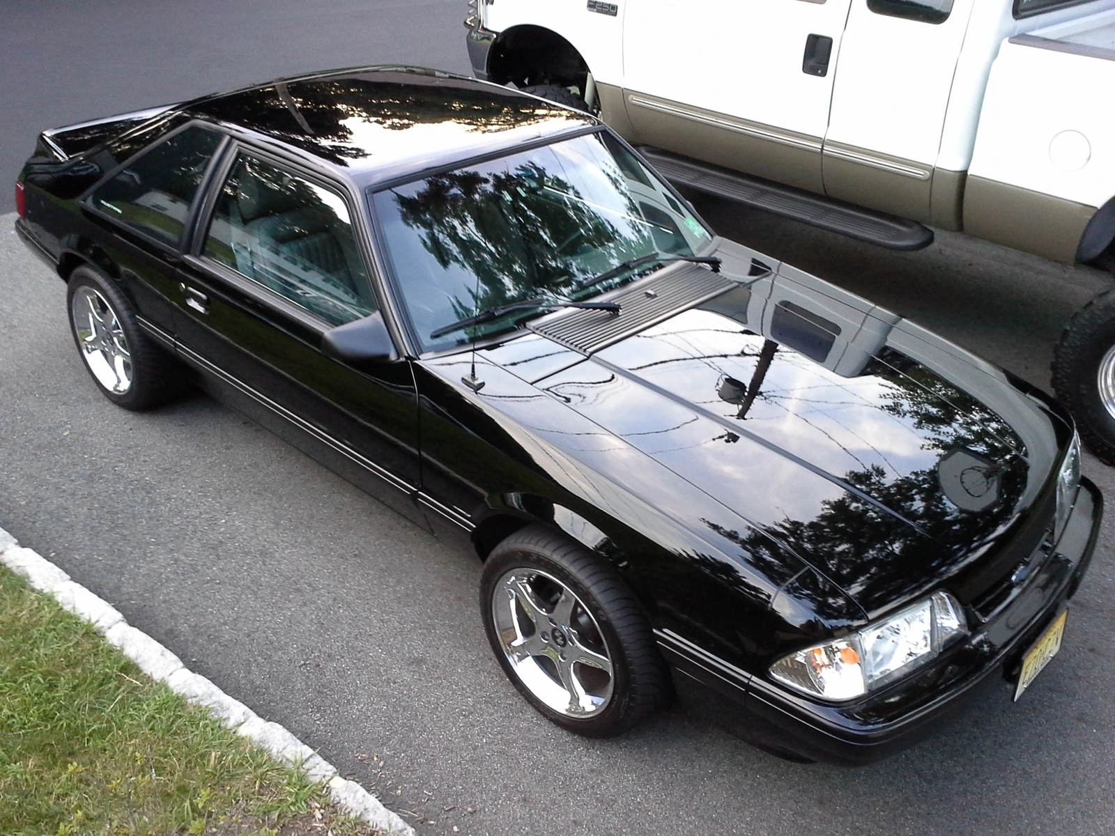 mustang in drive.webp