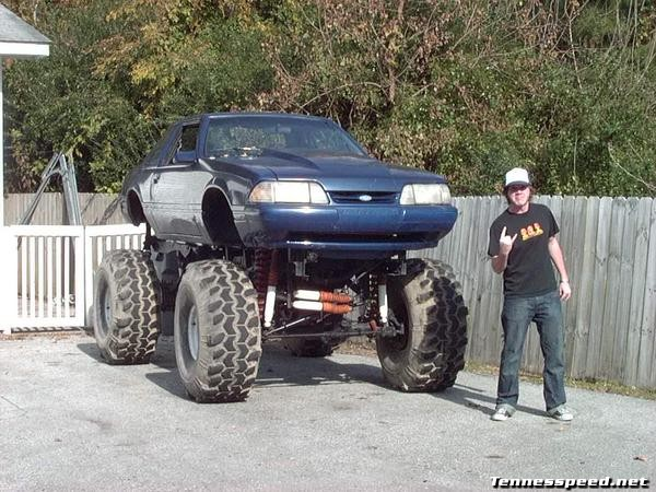 mustang.jpg