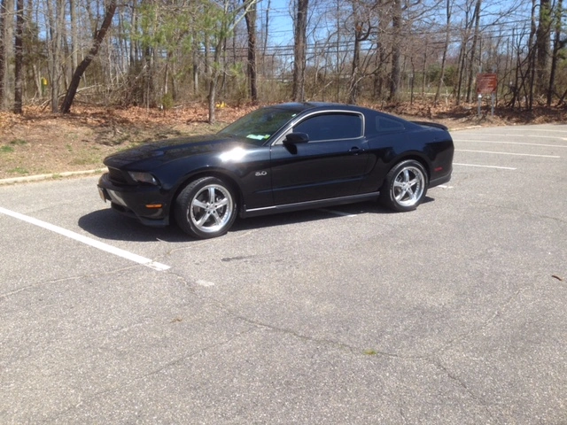 mustang left.webp