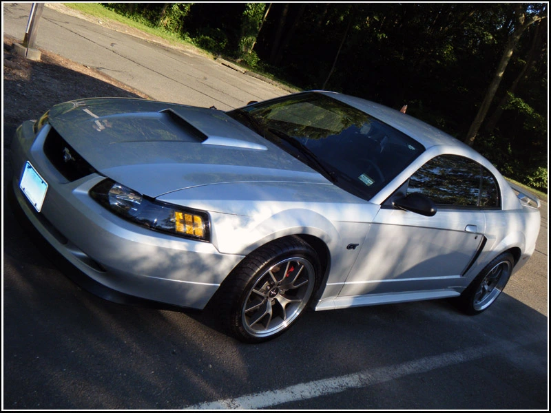 mustang-lowered.webp