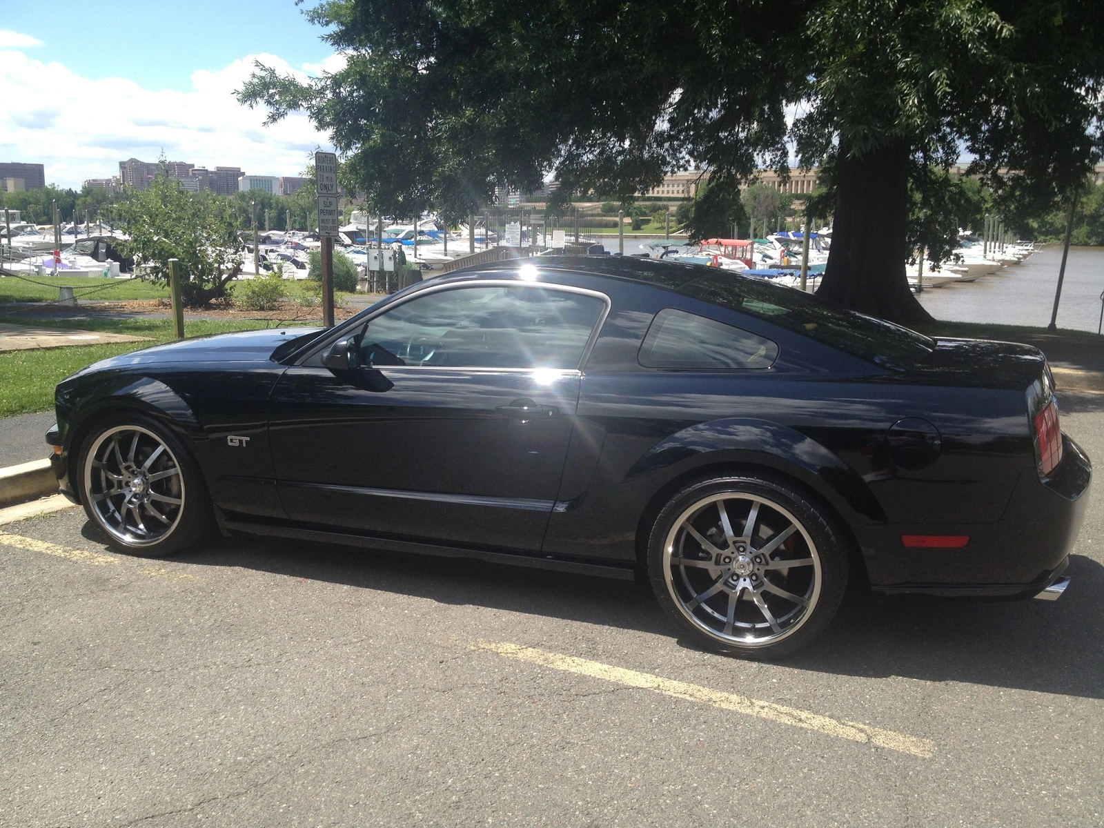 Mustang-Marina.webp