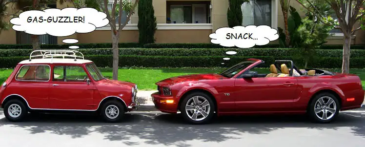 Mustang-Mini.webp