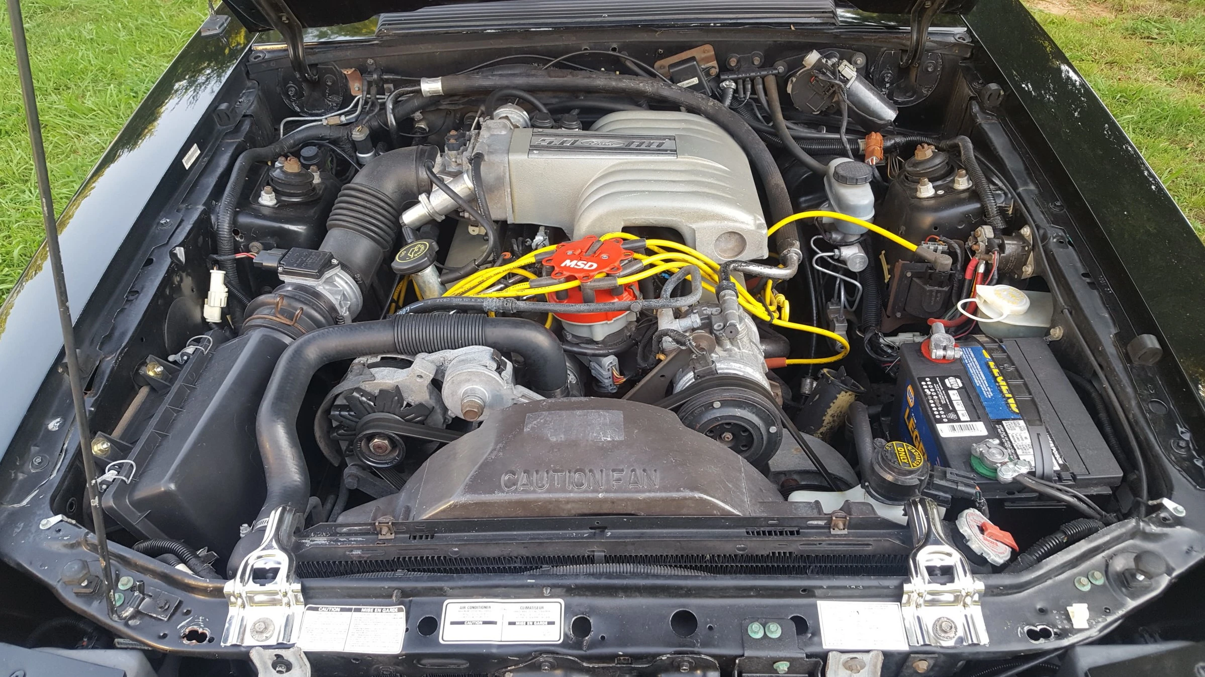 mustang motor 2.webp
