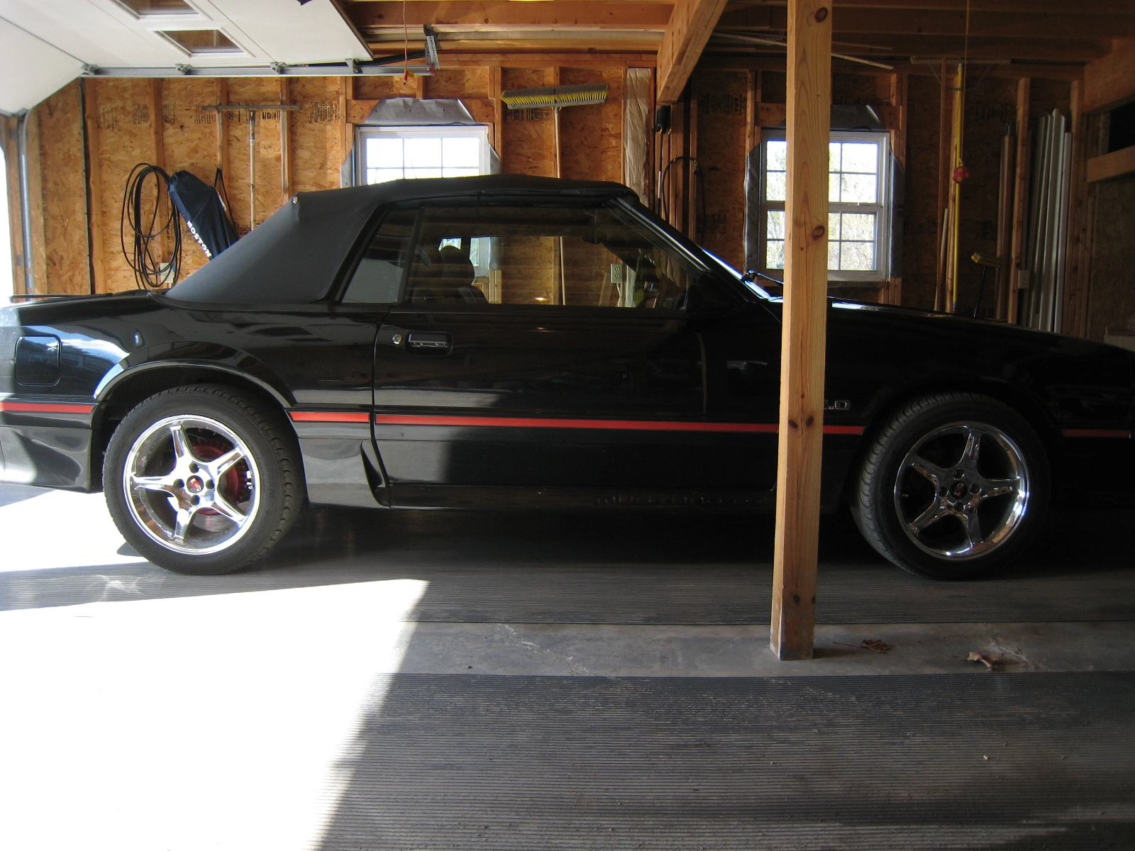 Mustang pics 005.webp
