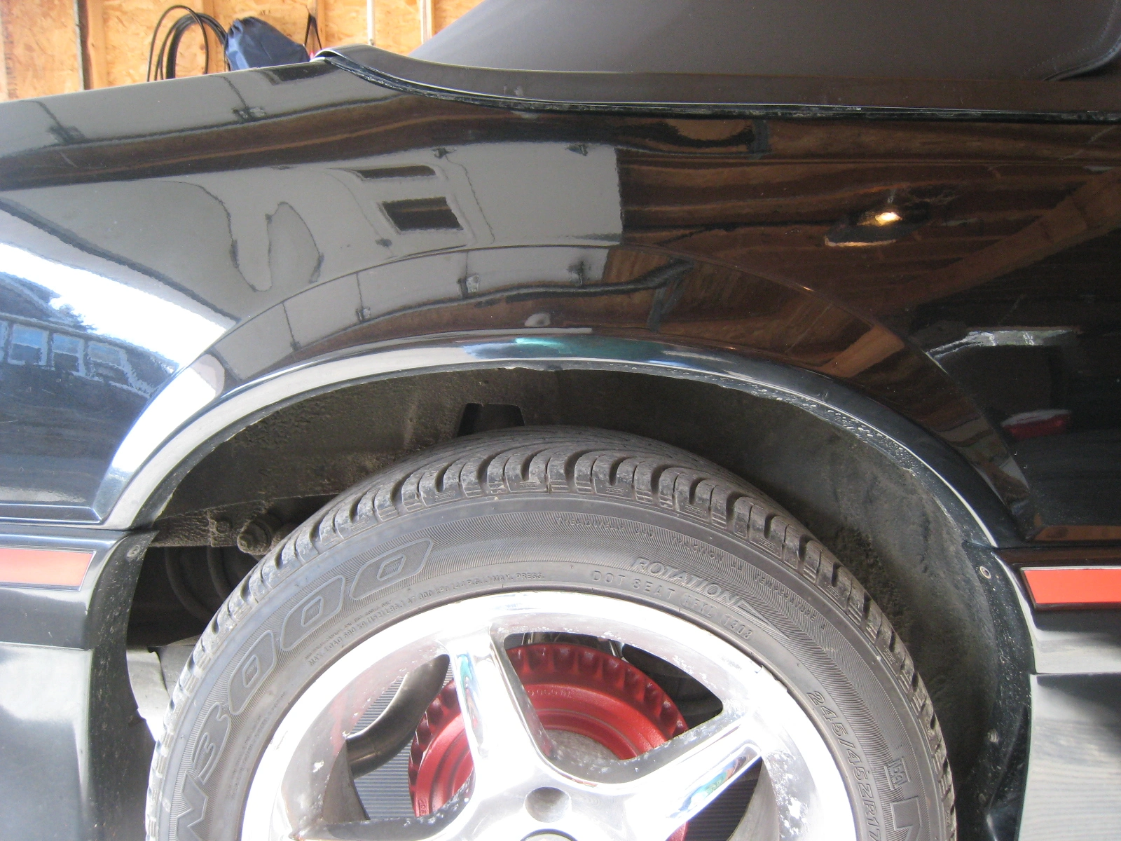 Mustang pics 006.webp
