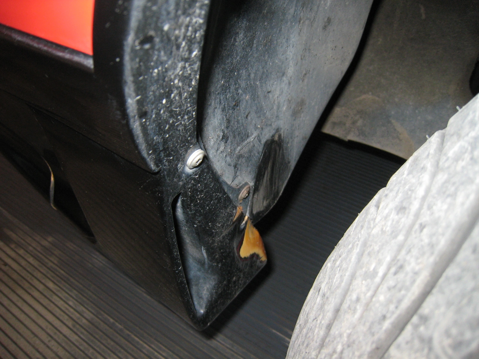 Mustang pics 008.webp