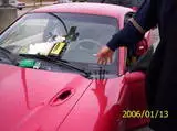 Mustang Plastic 2.webp