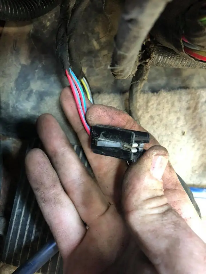 mustang plug.webp