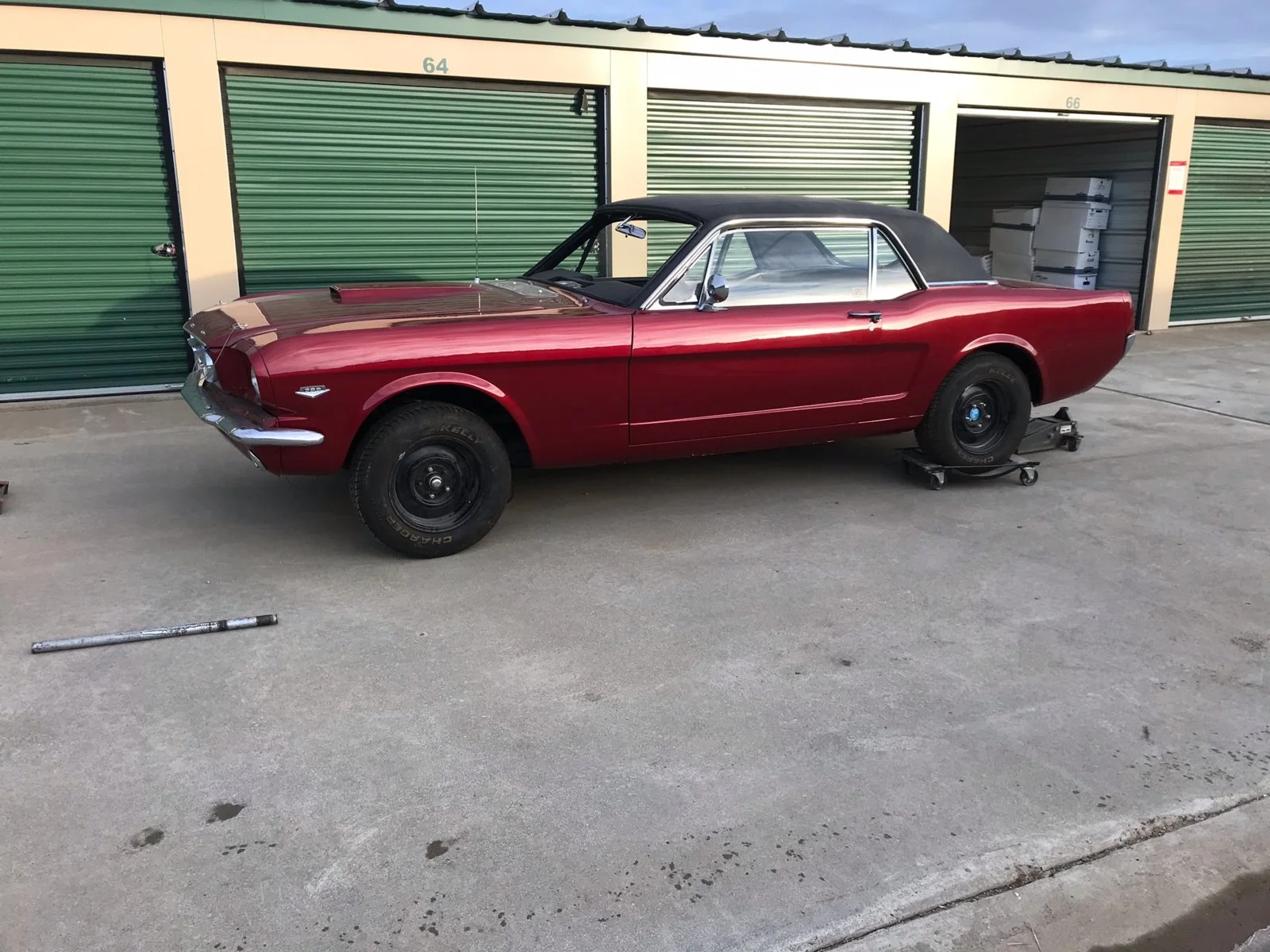 mustang purchase.webp