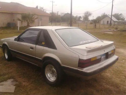 Mustang rear.webp