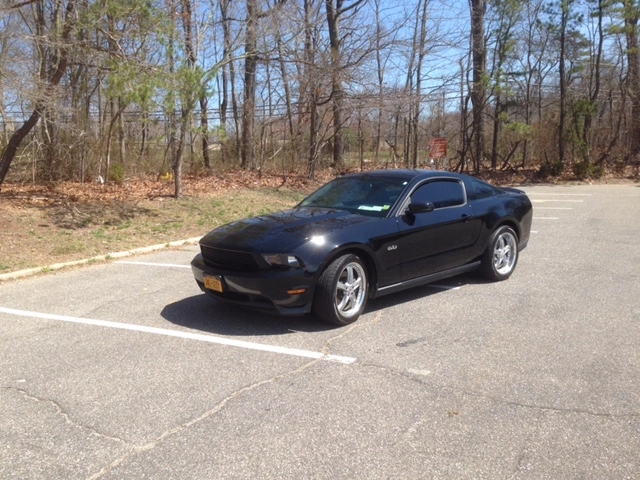 mustang right.webp