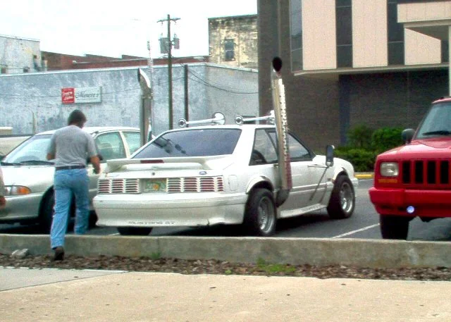 mustang-small.webp