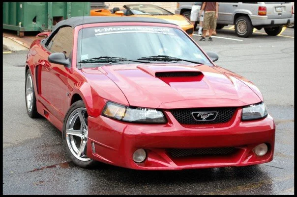 Mustang Stalker 5.webp