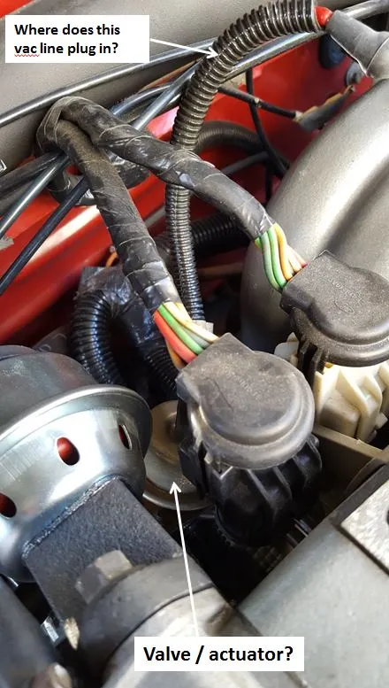 mustang valve.webp