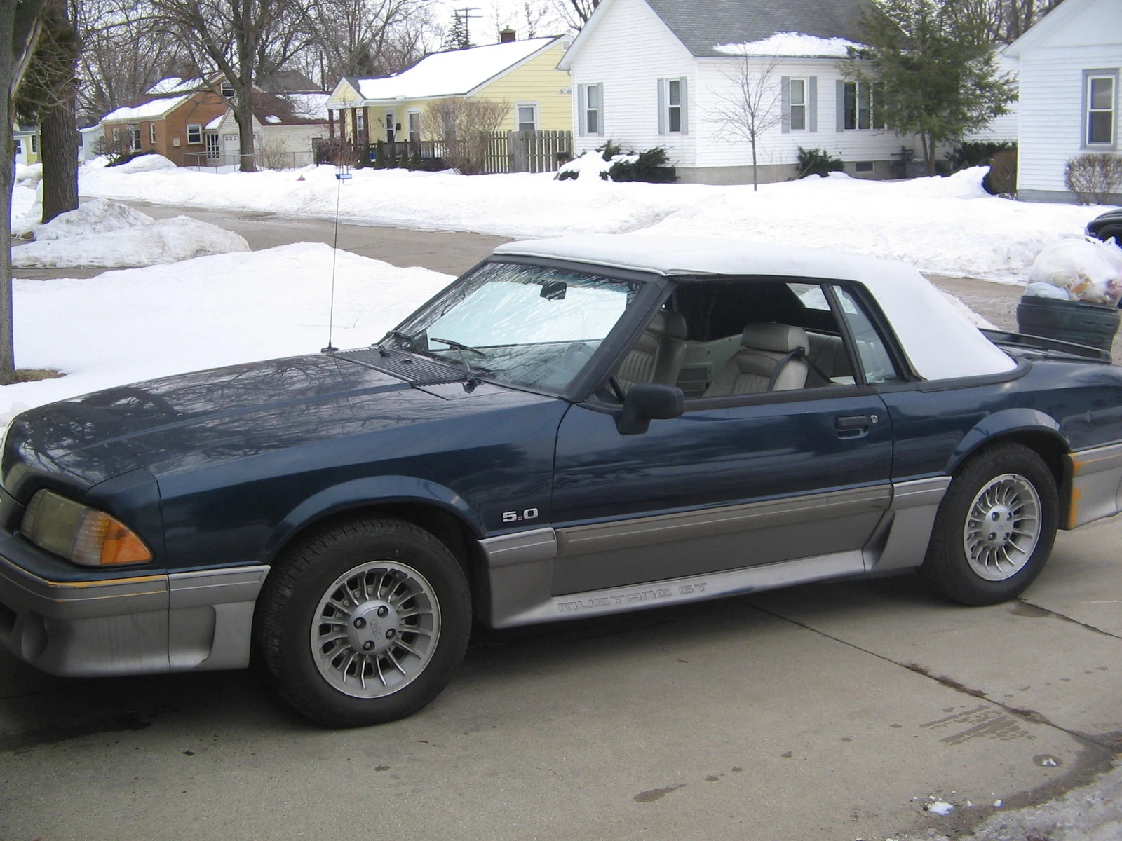 mustang vert 004.webp