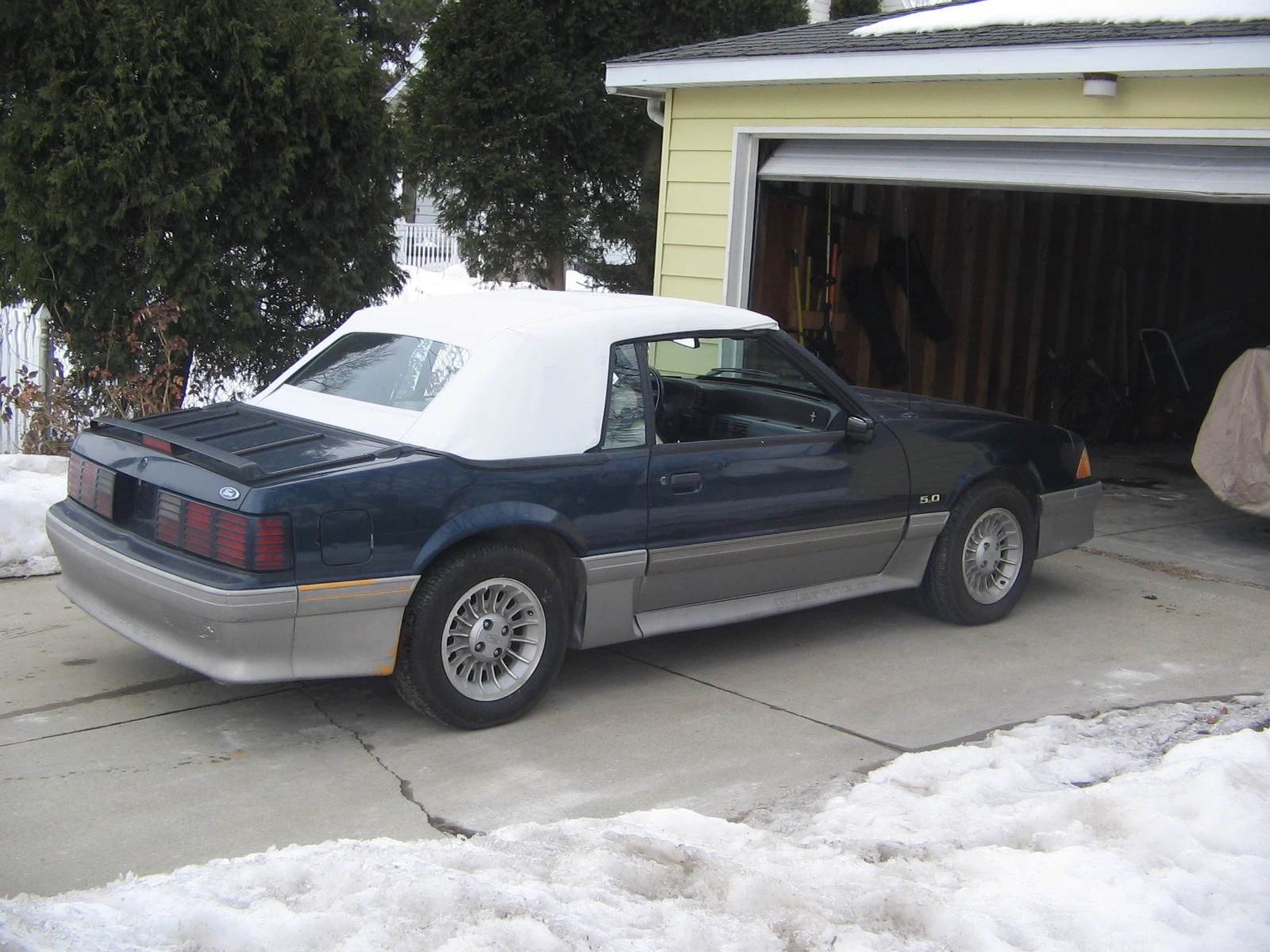 mustang vert 005.webp