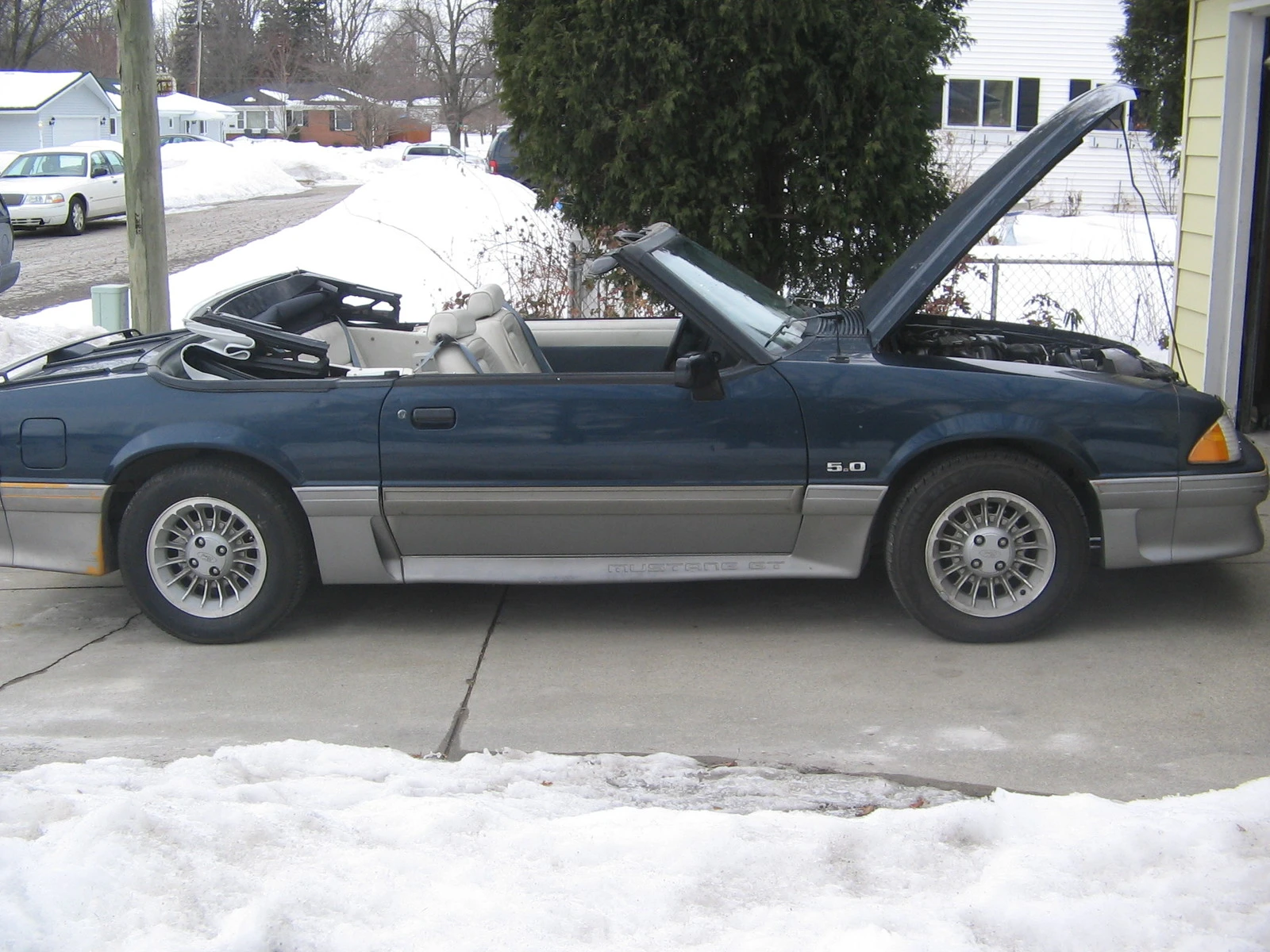 mustang vert 012.webp