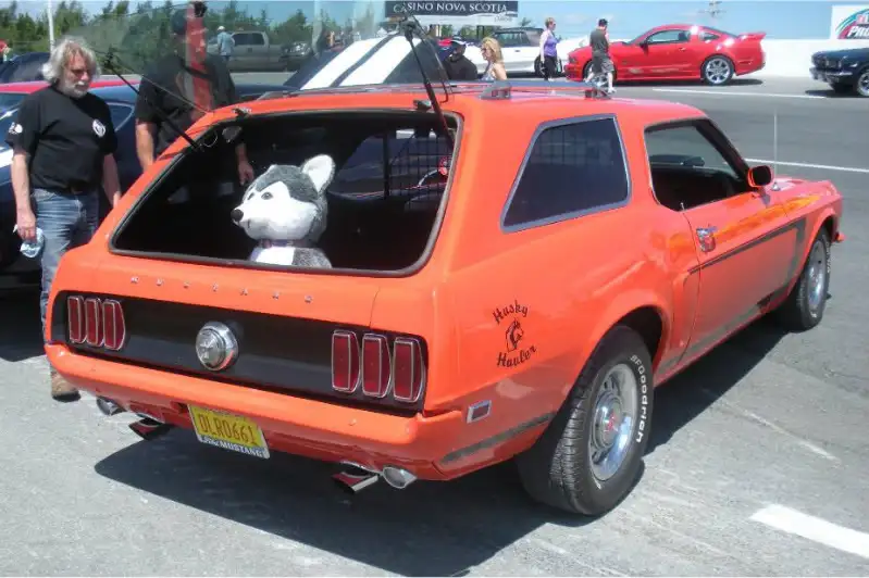 Mustang Wagon 3.webp