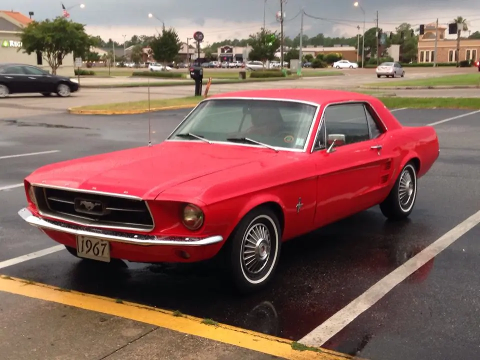 Mustang.webp