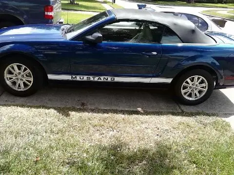 Mustang.webp