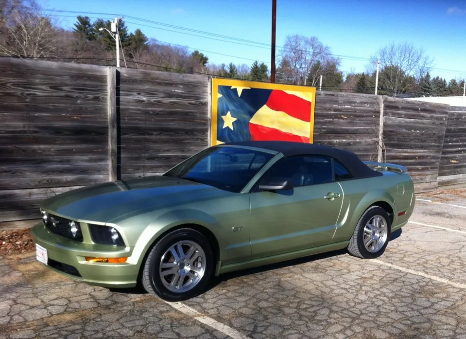Mustang.webp